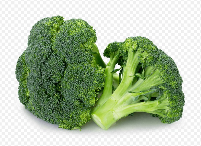 IQF Broccoli